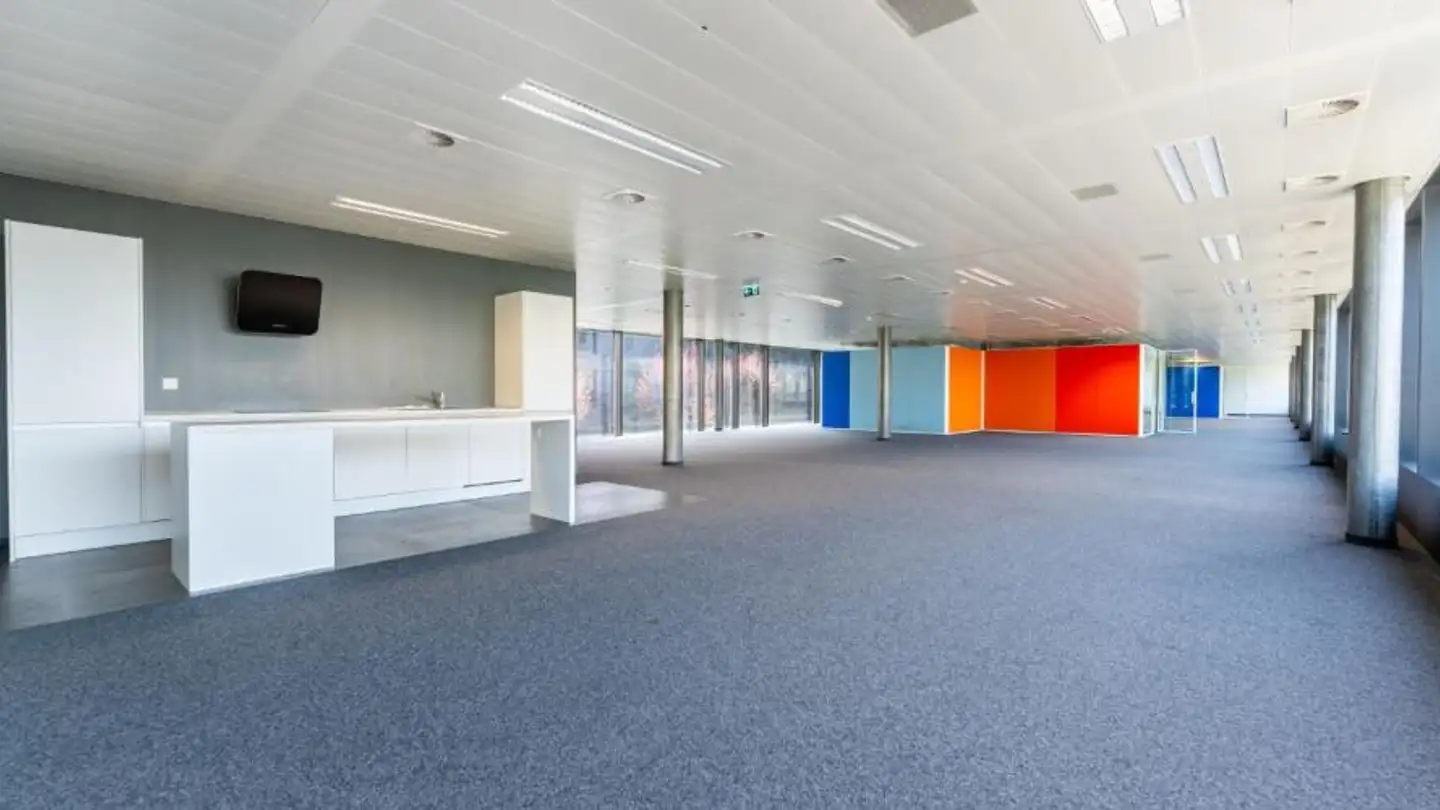 Commercial for rent - Chemin Du Château-Bloch 11, 1219 Le Lignon