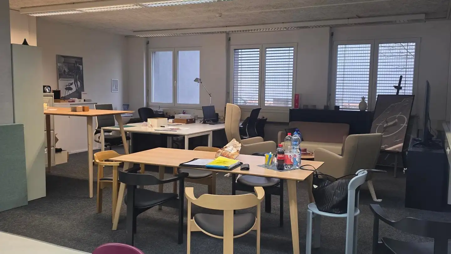 Commerciale in affitto - Hofwisenstrasse 2, 8260 Stein am Rhein - Photo 3