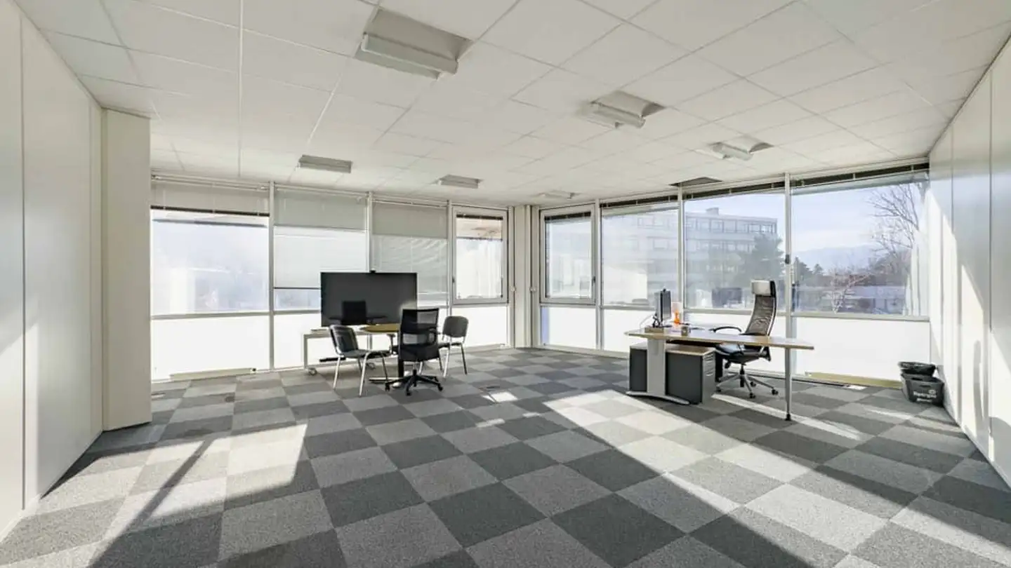 Commercial for rent - Chemin Du Château-Bloch 10, 1219 Le Lignon - Photo 2