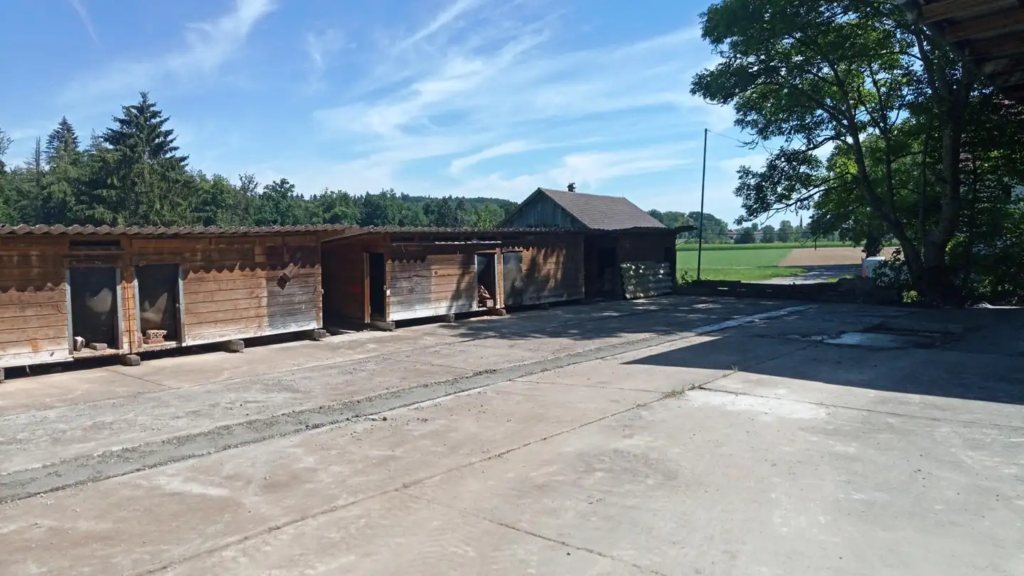 Commerciale in affitto - Riedmühleweg 21, 8474 Dinhard