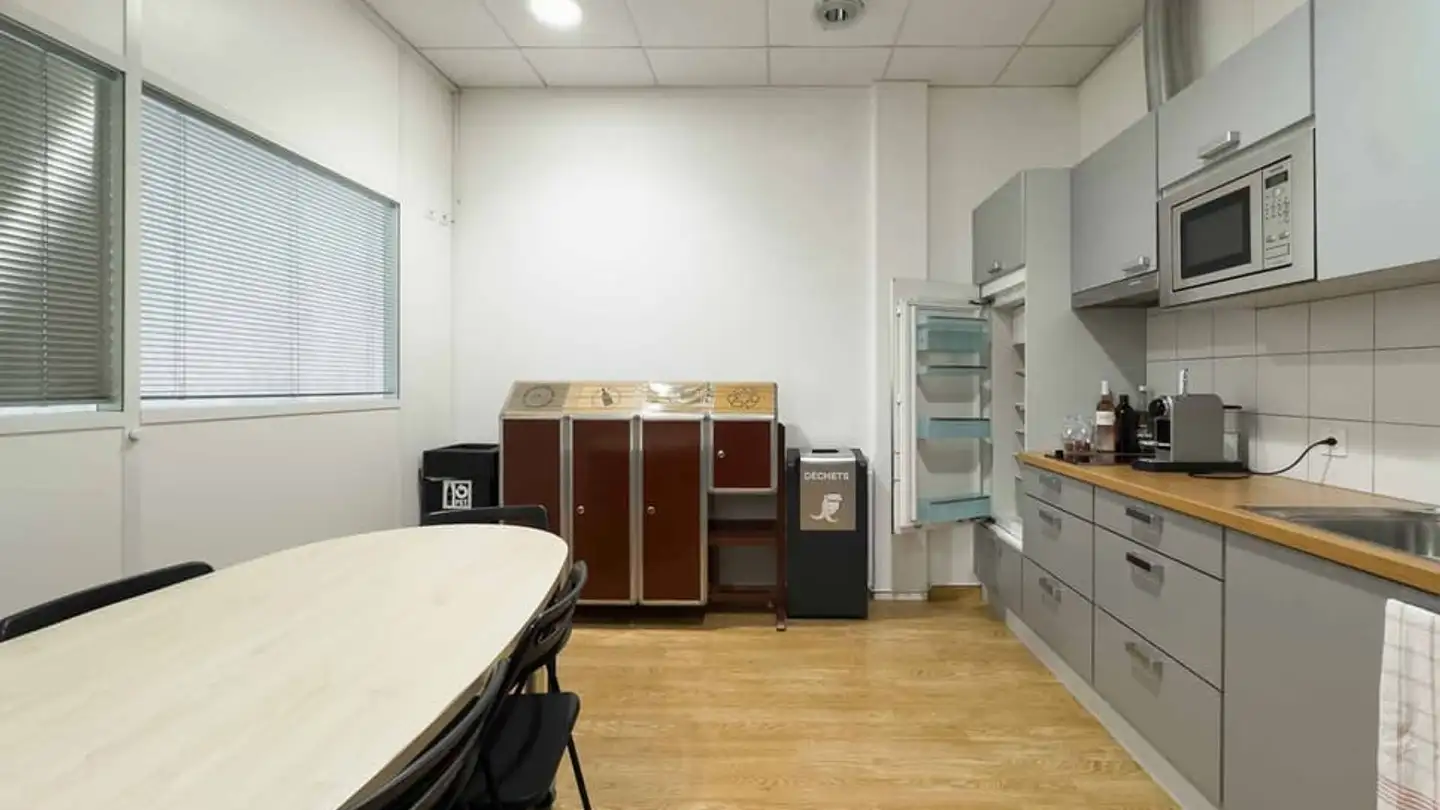 Commercial for rent - Chemin Du Château-Bloch 10, 1219 Le Lignon - Photo 4