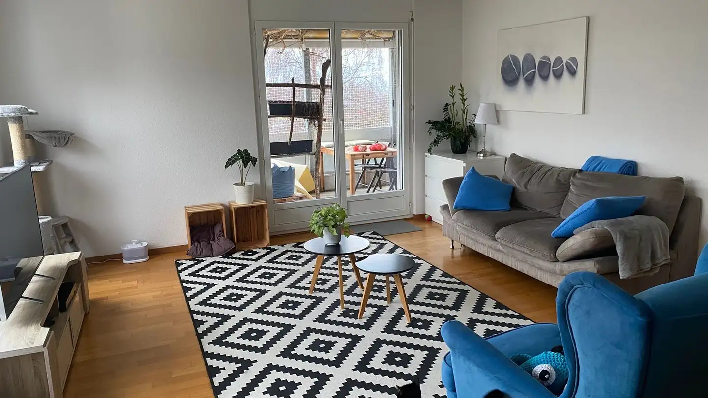 Single room for rent - Neue Jonastrasse 54, 8640 Rapperswil SG - Photo 2