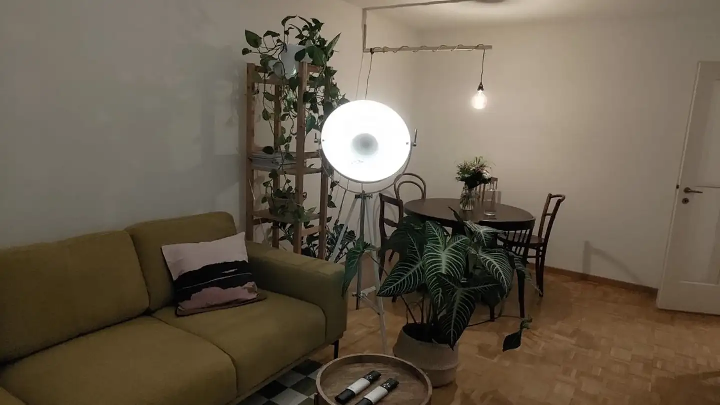 Stanza singola in affitto - 8050 Zürich - Foto 3