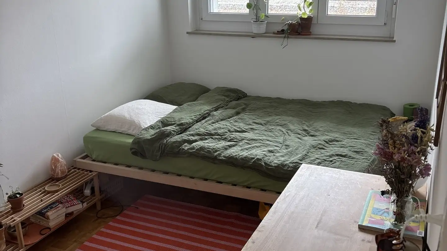 Stanza singola in affitto - 8050 Zürich