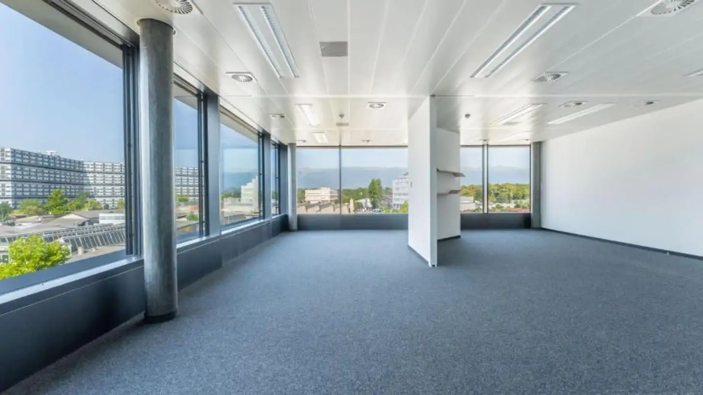 Commercial for rent - Chemin Du Château-Bloch 11, 1219 Le Lignon