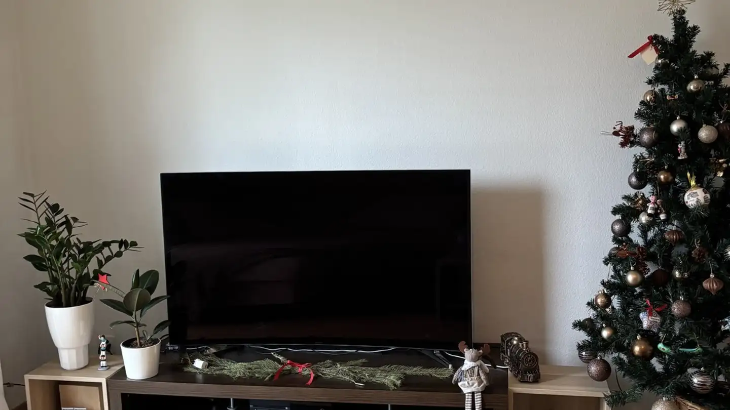 Appartamento in affitto - Schwandenwiesen 25, 8052 Zürich