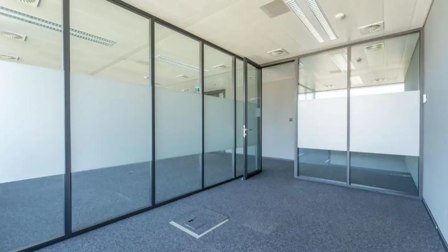 Commercial for rent - Chemin Du Château-Bloch 11, 1219 Le Lignon - Photo 3