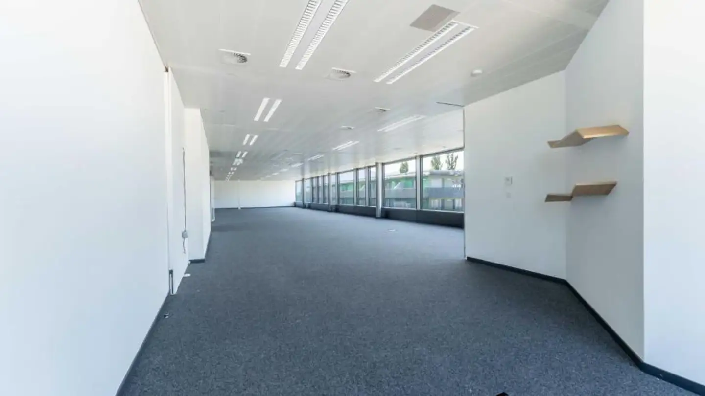 Commercial for rent - Chemin Du Château-Bloch 11, 1219 Le Lignon - Photo 4