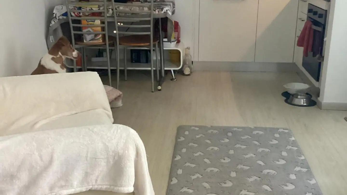 Appartement à louer - 6924 Sorengo - Photo 2