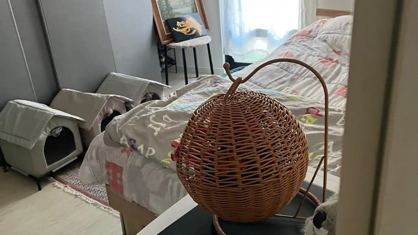 Appartement à louer - 6924 Sorengo - Photo 3