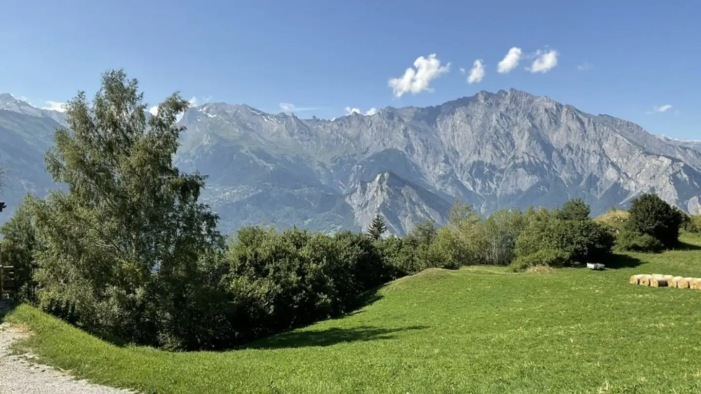 Chalet for sale - Rue De Villy, 1918 La Tzoumaz