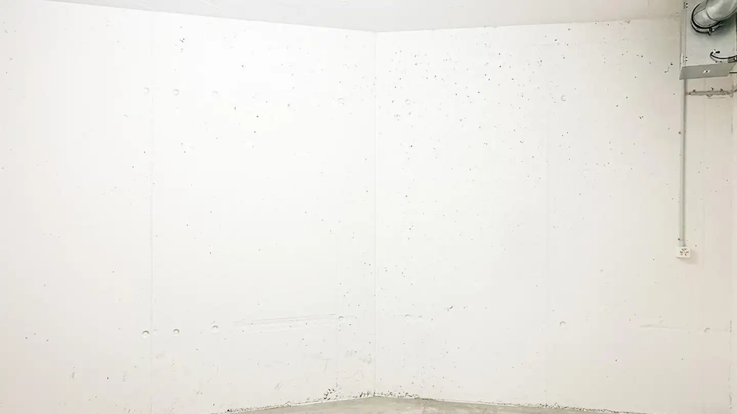 Werkstatt mieten - Haini-Rennhas-Strasse 6, 9403 Goldach - Foto 2