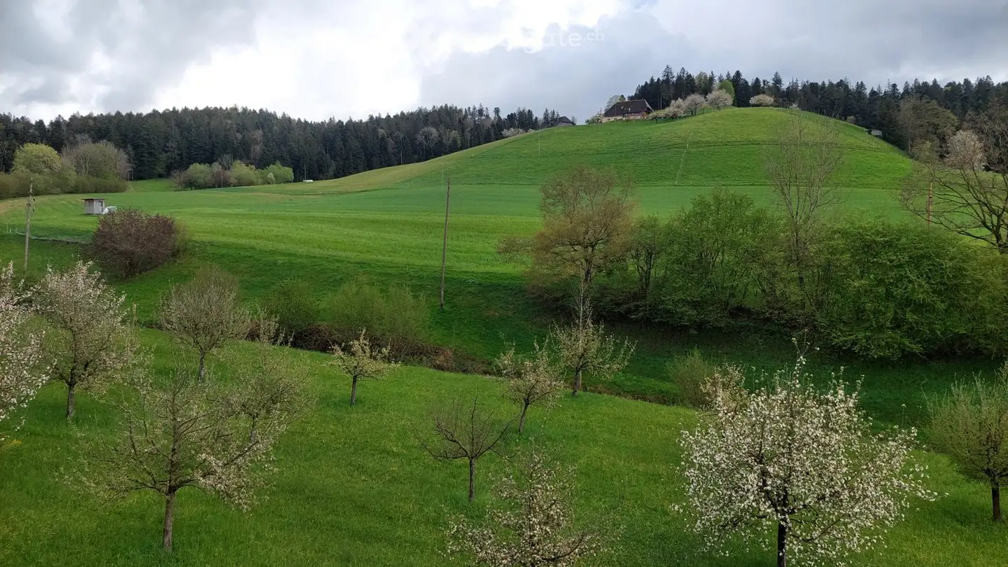 Einfamilienhaus mieten - 3400 Burgdorf