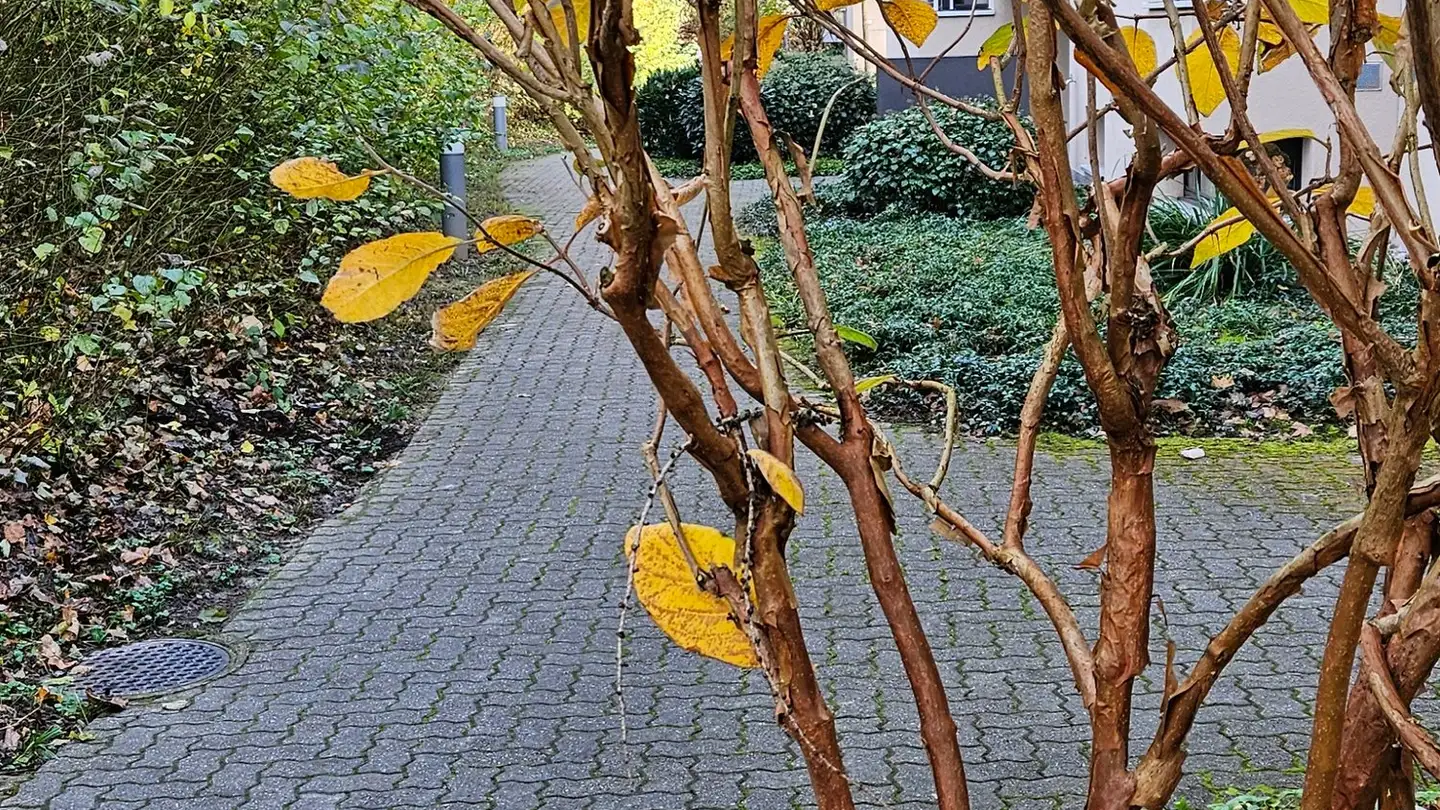 Appartamento in affitto - Feldeggstrasse, 3322 Urtenen-Schönbühl - Photo 2