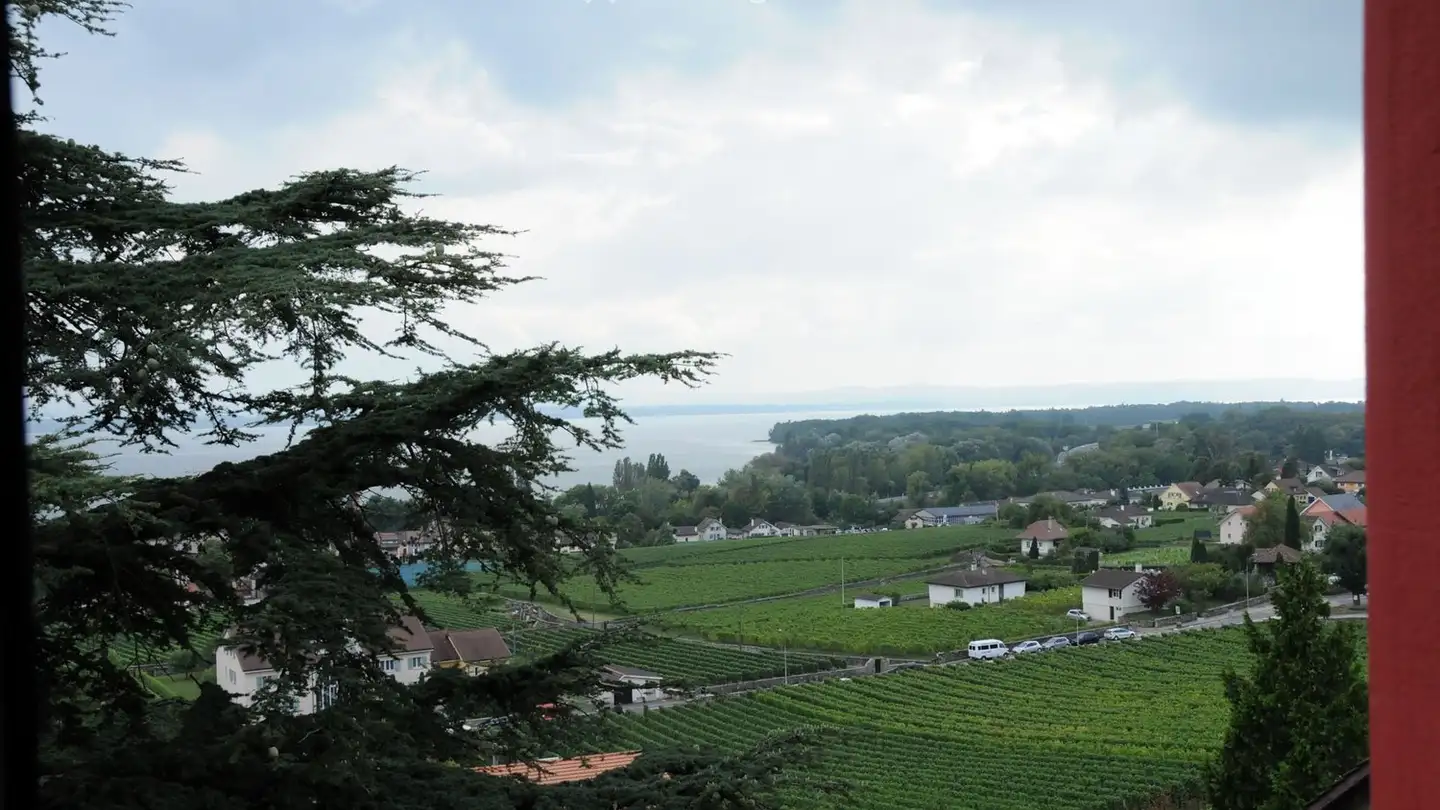 Apartment for rent - Chemin Des Vanels 8, 2012 Auvernier - Photo 4