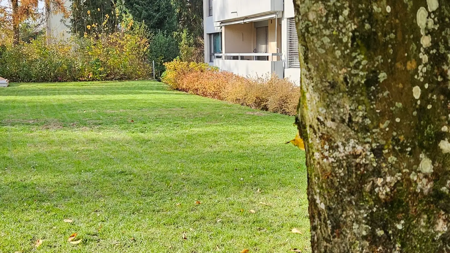 Appartamento in affitto - Feldeggstrasse, 3322 Urtenen-Schönbühl - Photo 3