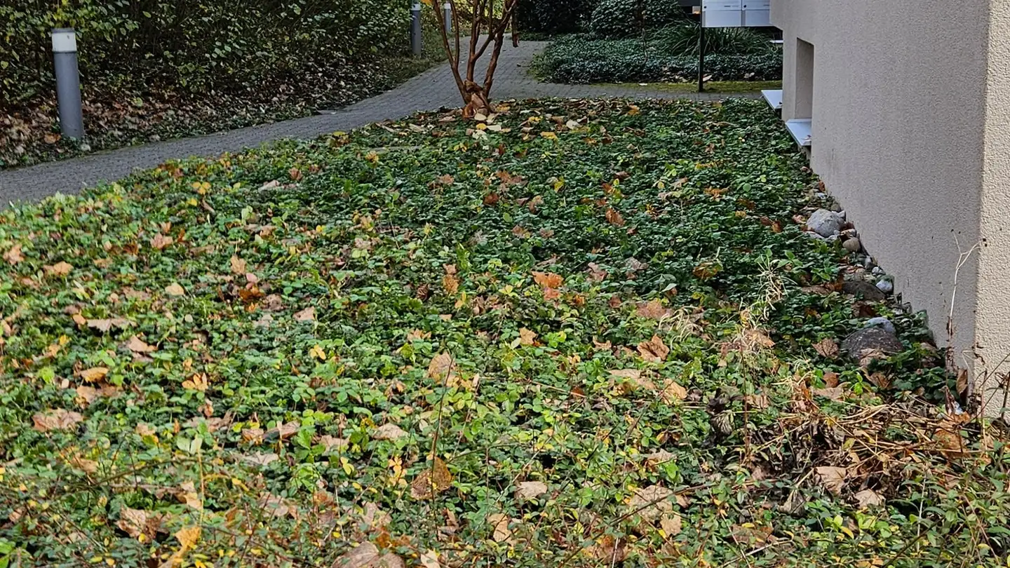 Appartamento in affitto - Feldeggstrasse, 3322 Urtenen-Schönbühl - Photo 4