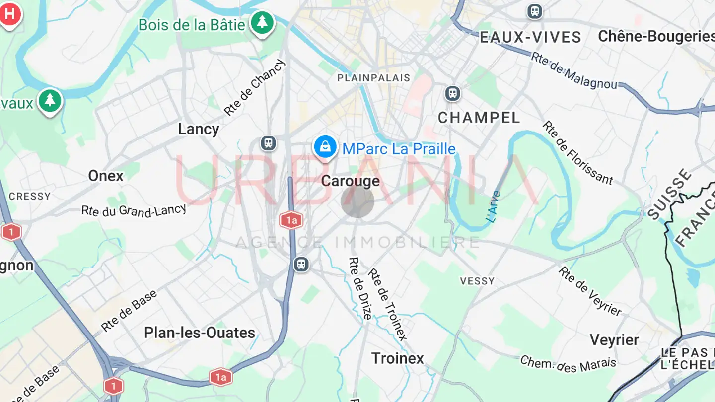 Einfamilienhaus kaufen - 1227 Carouge GE