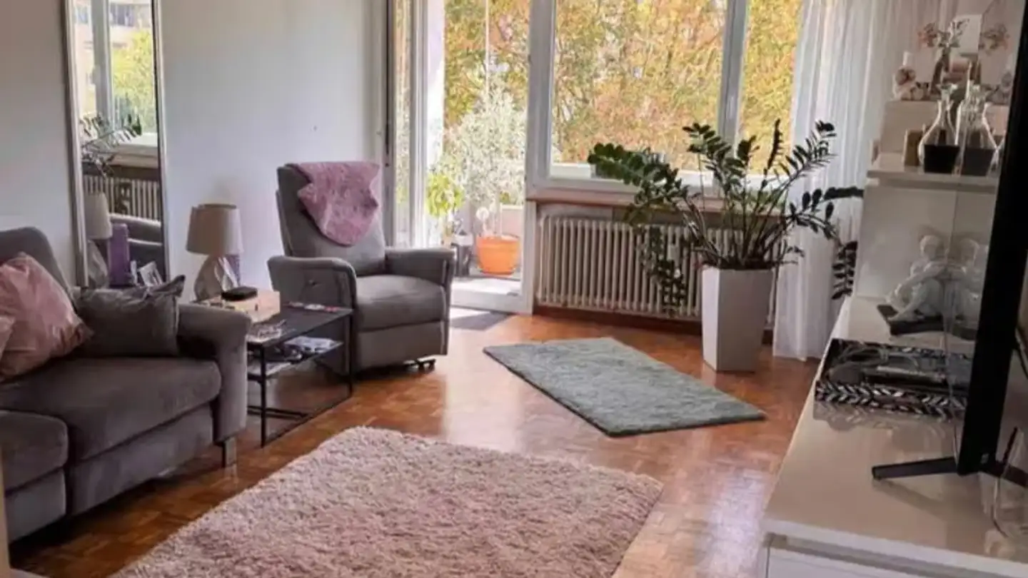 Appartamento in affitto - 4133 Pratteln