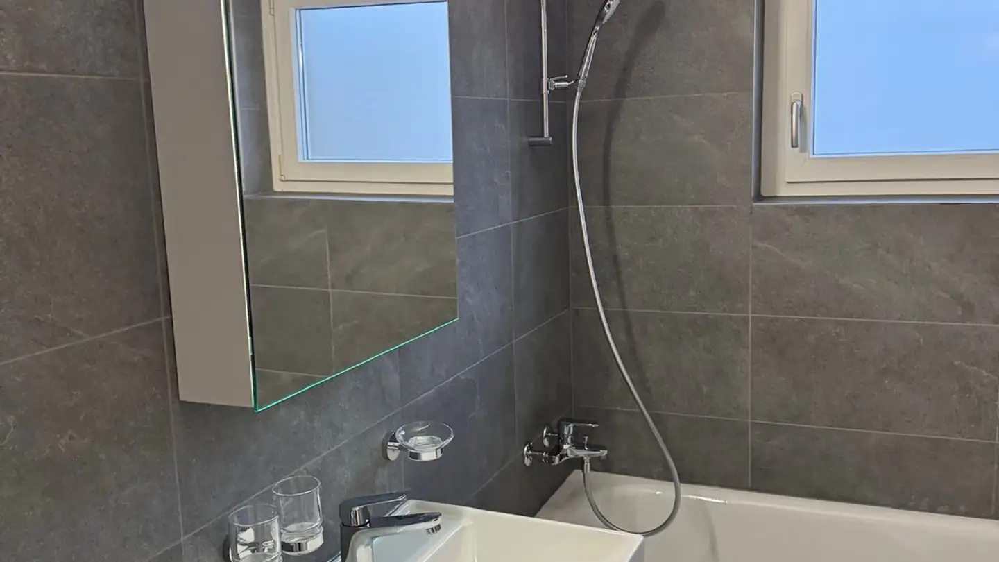 Chambre à louer - Badenerstrasse 582, 8048 Zürich - Photo 2