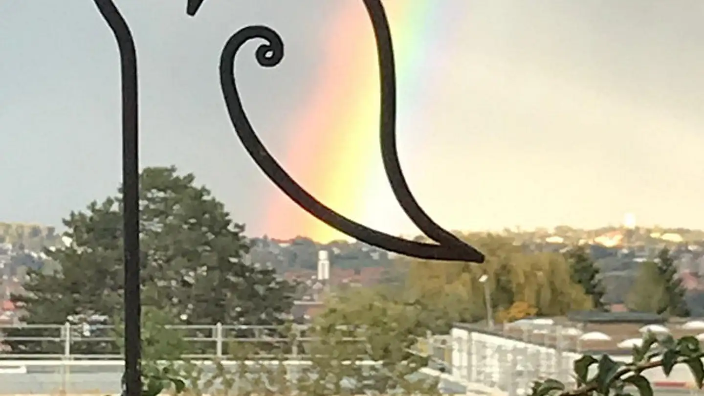 Appartement à louer - Freudenbergstrasse 7, 8280 Kreuzlingen