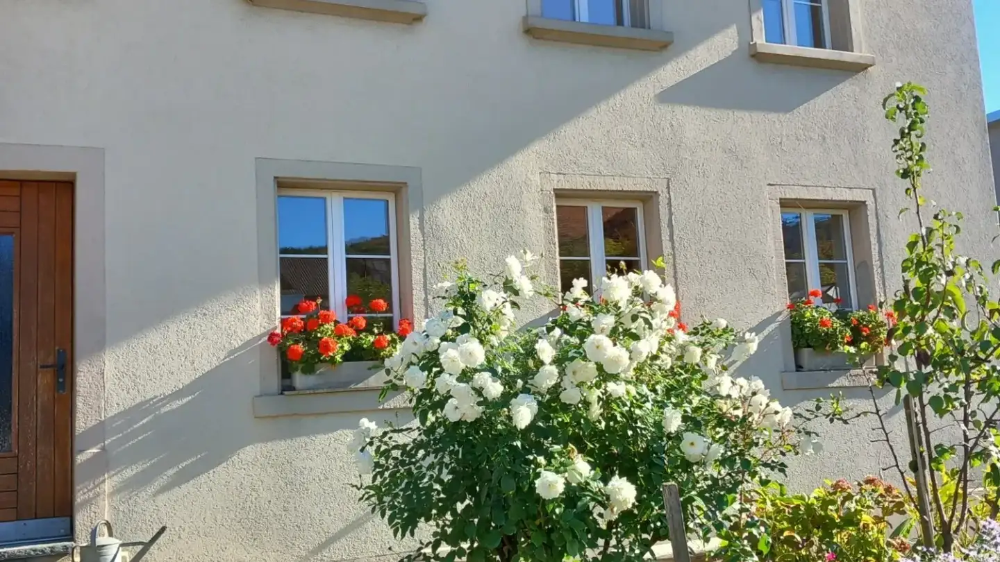 Casa singola in affitto - Ausserdorfstrasse 24, 5107 Schinznach Dorf