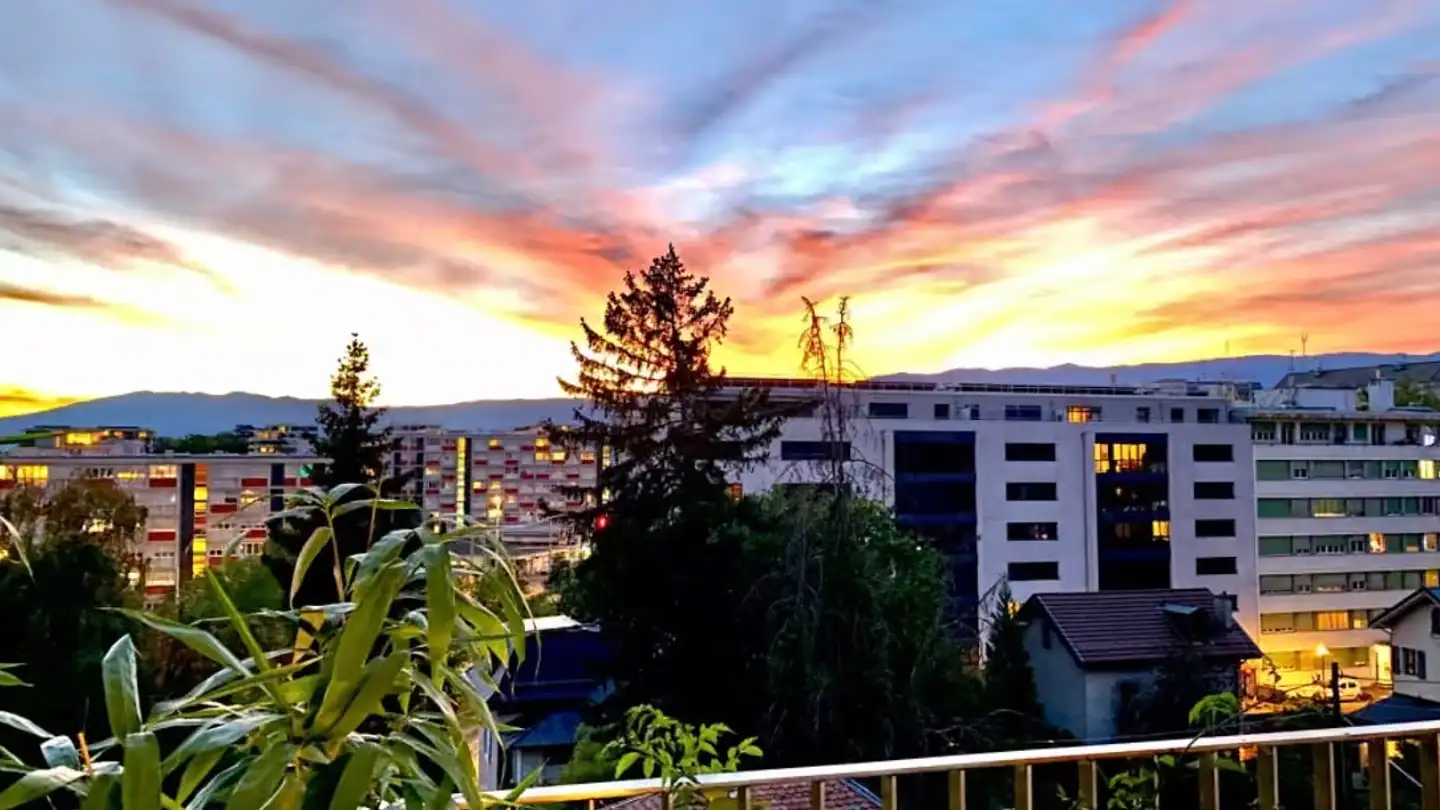 Wohnung mieten - Avenue Des Tilleuls, 1203 Genève - Foto 2