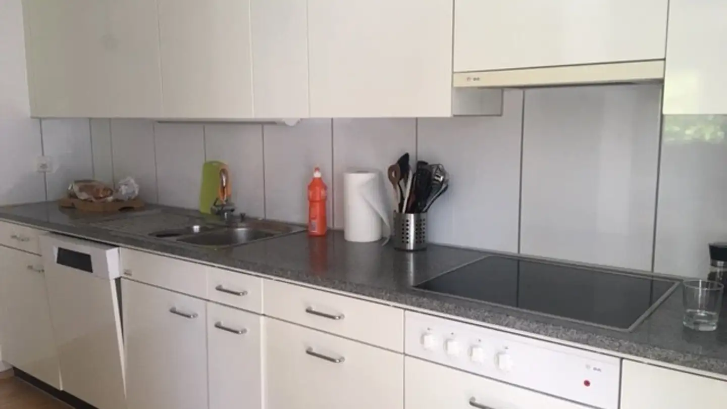 Single room for rent - Sommerhaldenstrasse 21, 8400 Winterthur - Photo 3