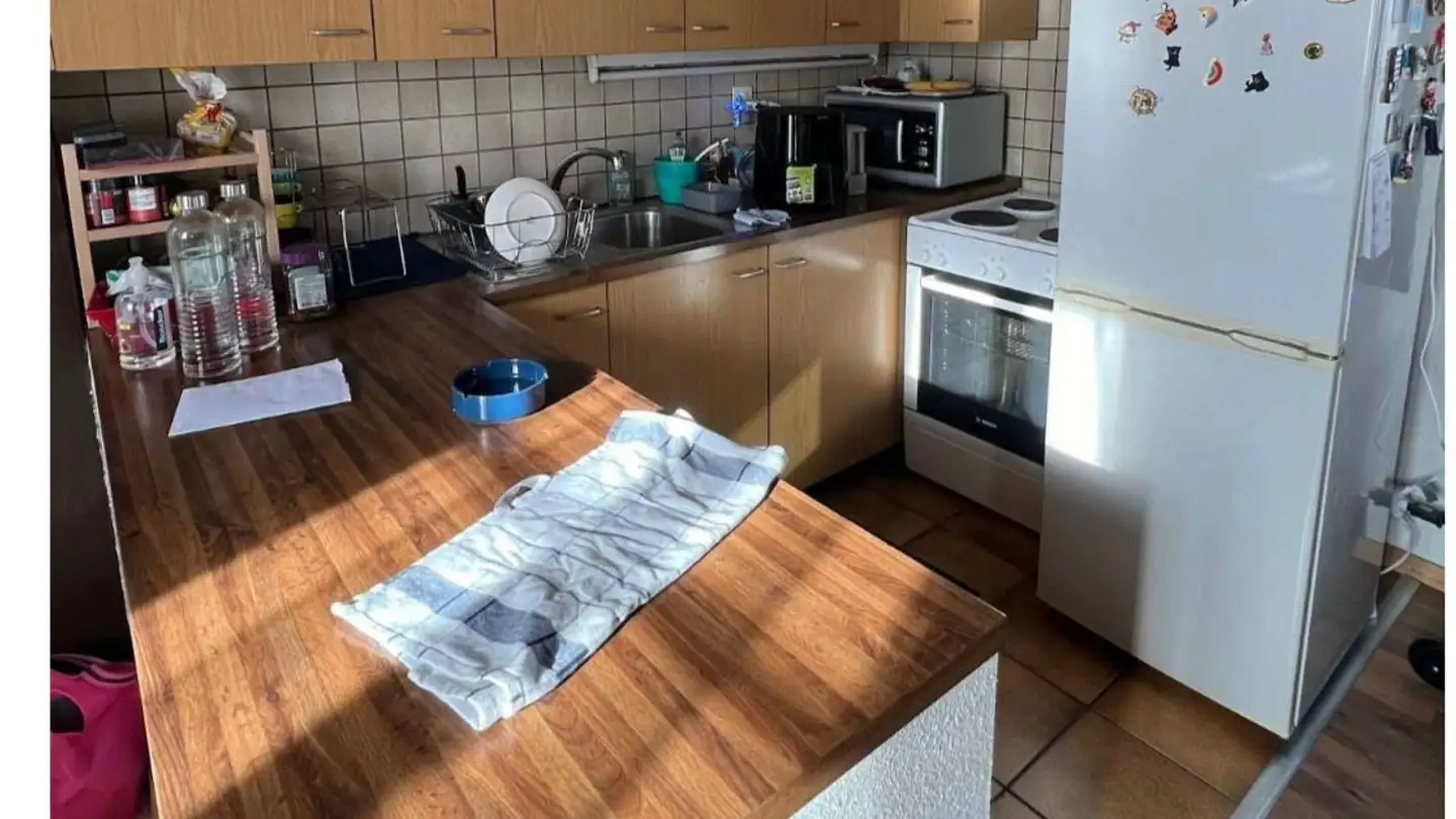 Appartamento in affitto - 1227 Carouge GE - Photo 4