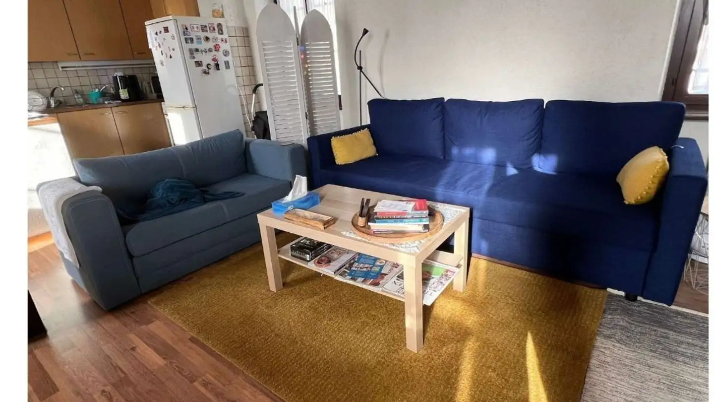 Appartamento in affitto - 1227 Carouge GE - Photo 2