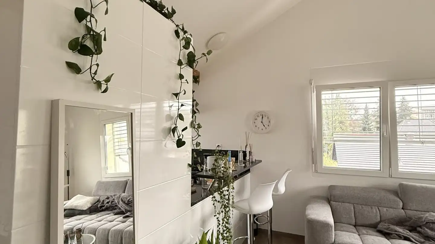 Appartamento in affitto - Kentuckystrasse 22, 5734 Reinach AG