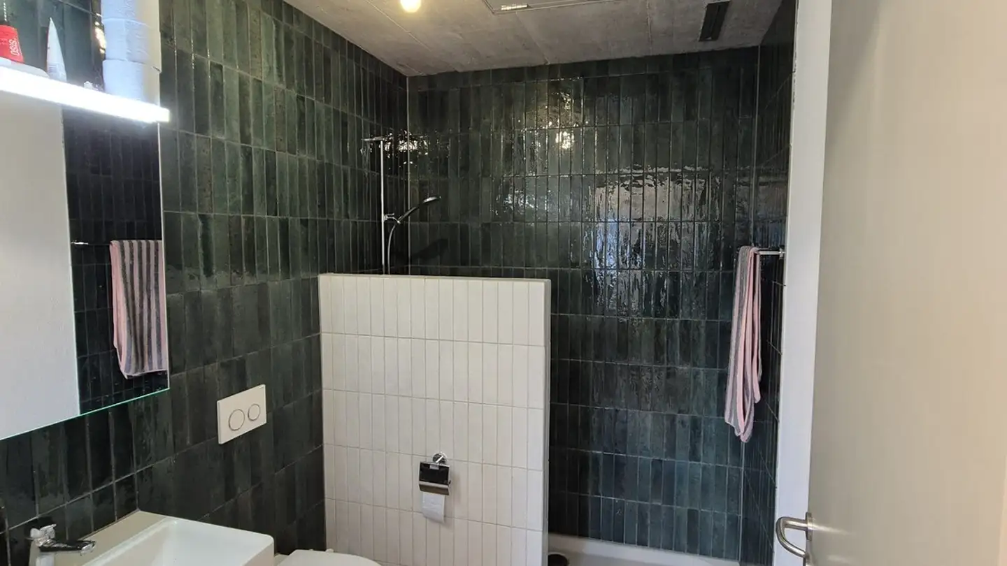 Apartment for rent - Widenacherstrasse 22, 8156 Oberhasli - Photo 4