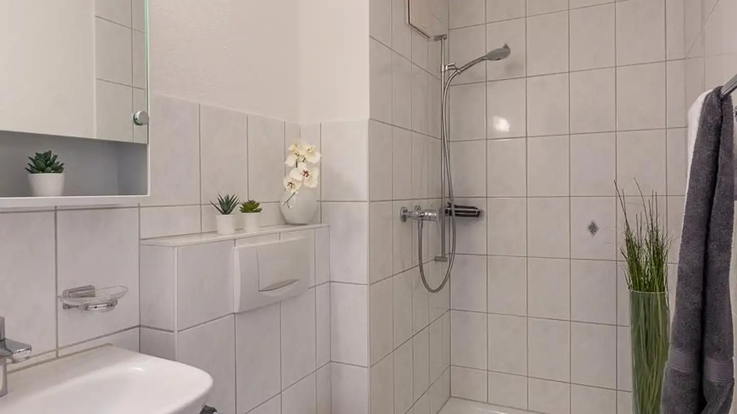 Apartment for rent - Rigiweg 1a, 5626 Hermetschwil-Staffeln - Photo 3