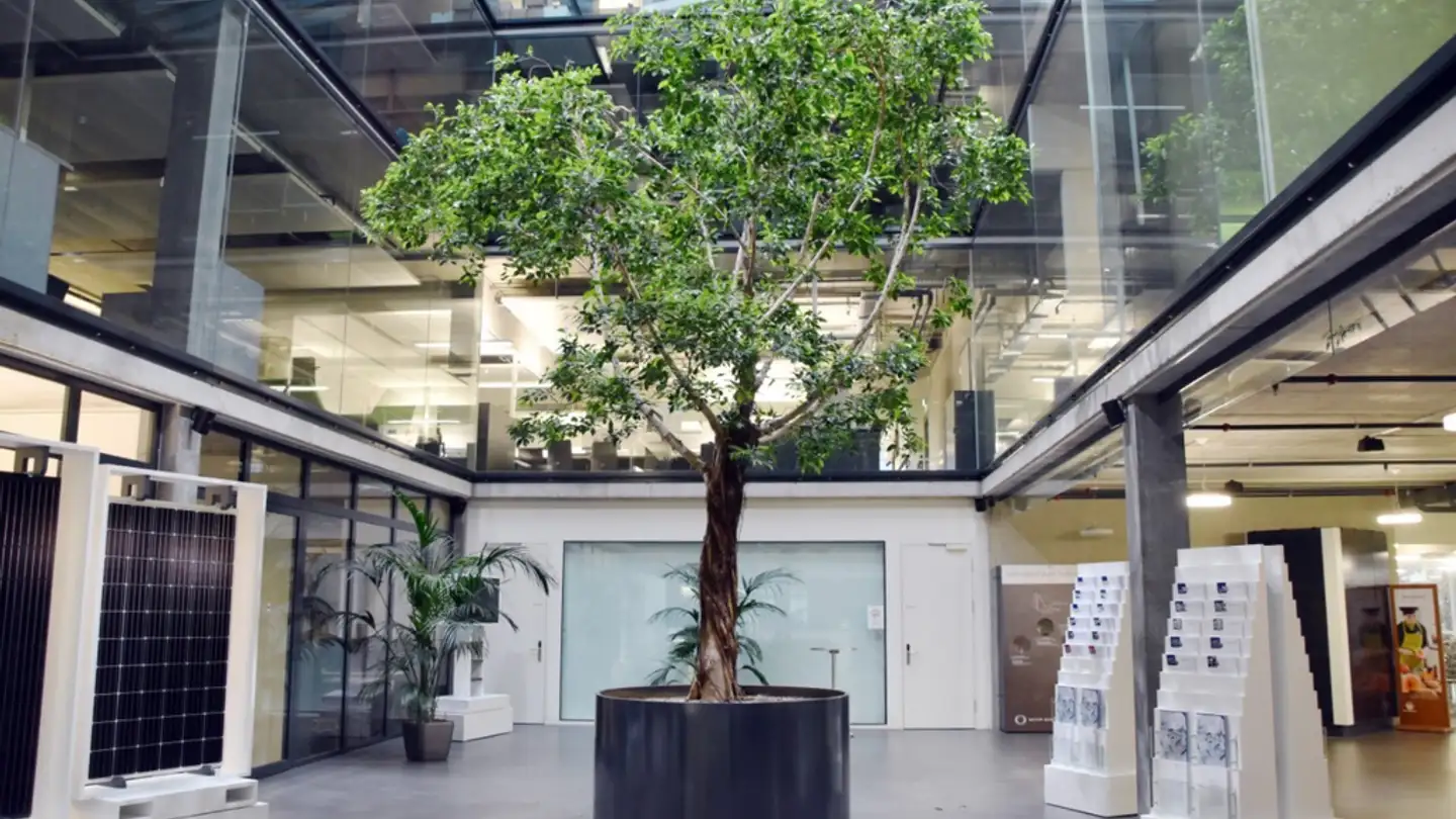 Spazio ufficio in affitto - Schorenstrasse 39, 3645 Gwatt (Thun) - Photo 2