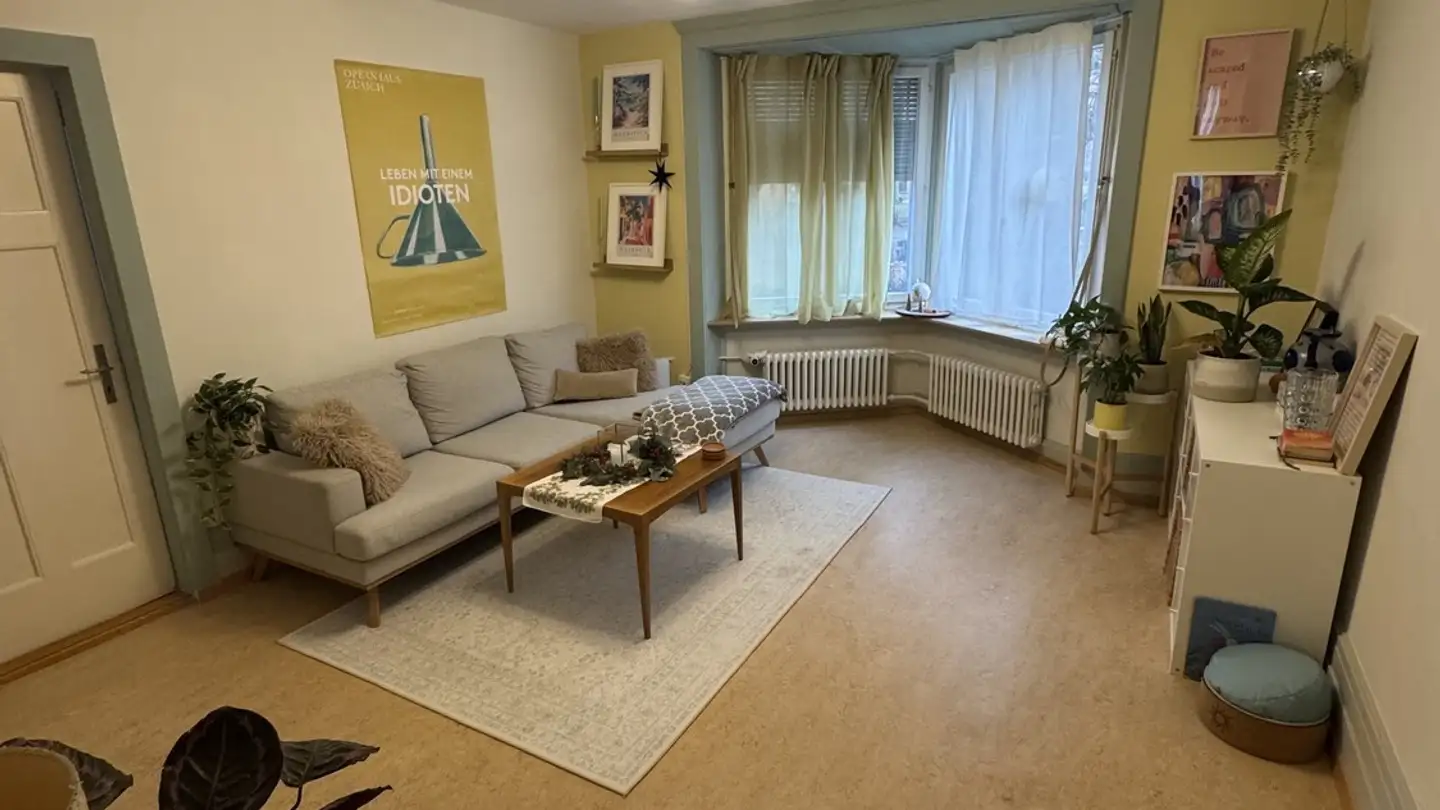 Stanza singola in affitto - 8004 Zürich