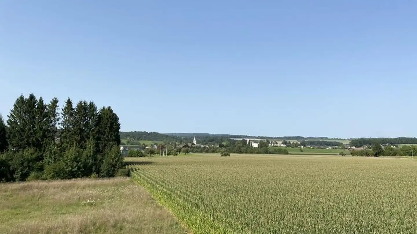 Casa singola in vendita - Haslistrasse, 8555 Müllheim Dorf - Foto 2