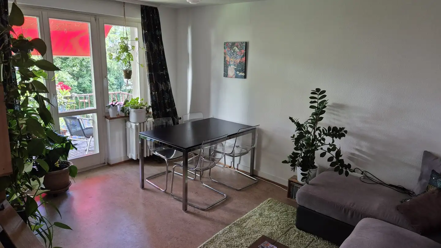 Apartment for rent - 8400 Winterthur