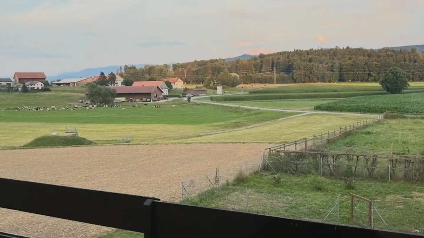 Appartamento in affitto - 1690 Lussy FR - Photo 3