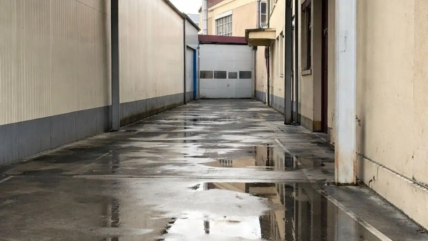 Atelier à louer - Freiburgstrasse 116, 3280 Murten - Photo 2