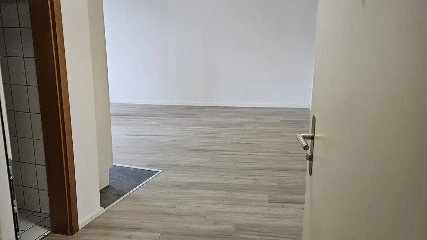 Studio in affitto - St. Gallerstrasse 1, 9100 Herisau - Photo 2