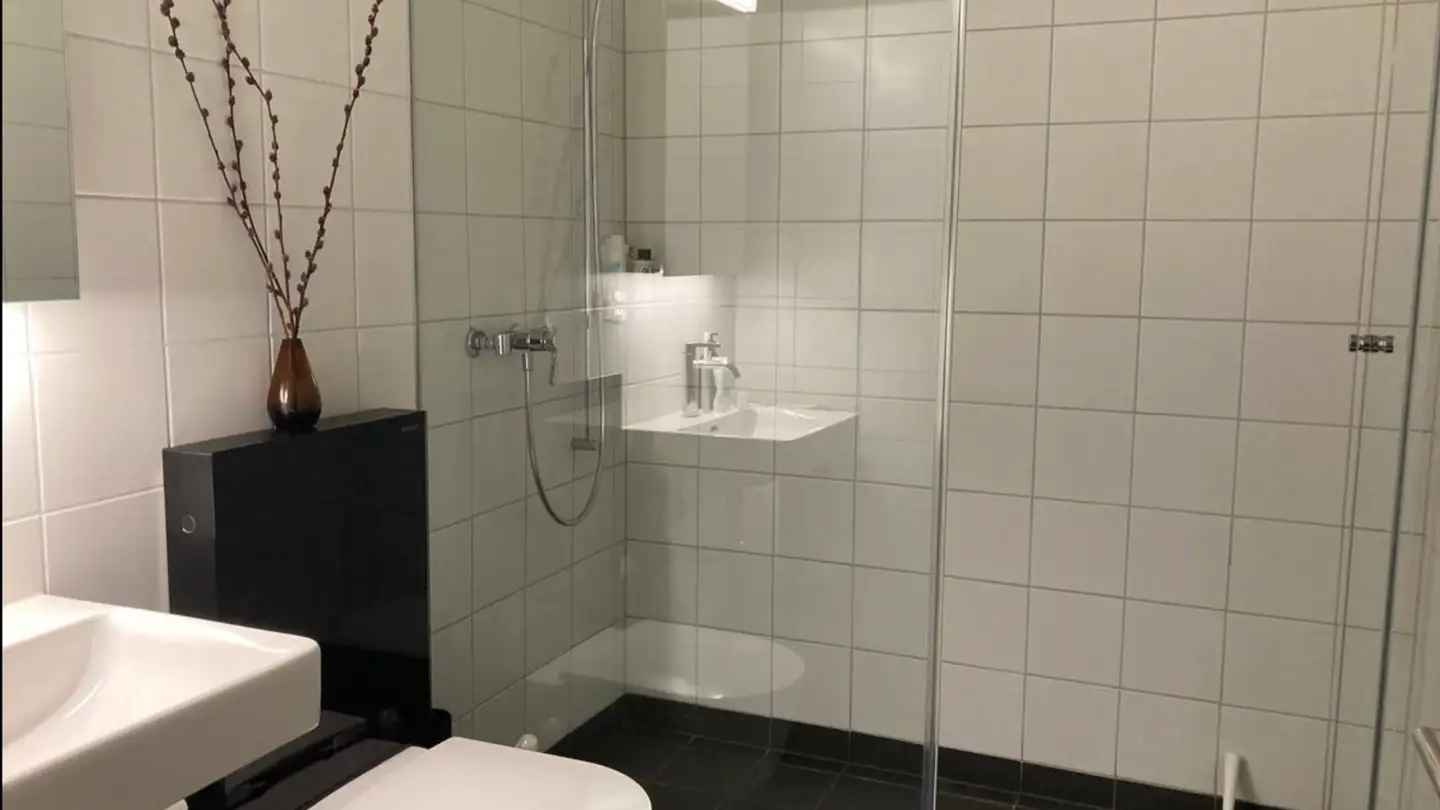 Appartamento in affitto - 8005 Zürich - Foto 3