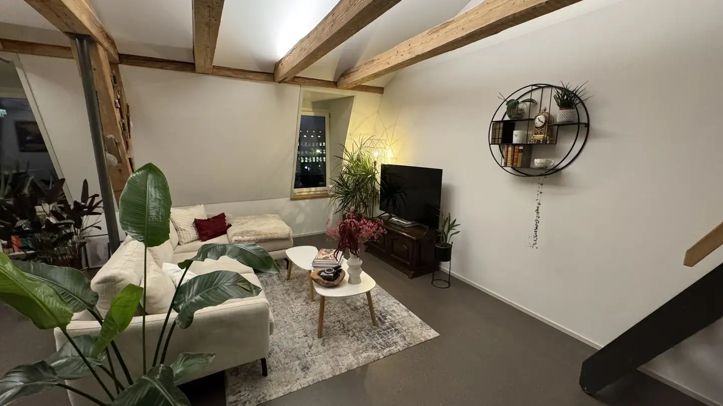 Möblierte Wohnung mieten - Schaffhauserstrasse 5, 8400 Winterthur - Foto 3