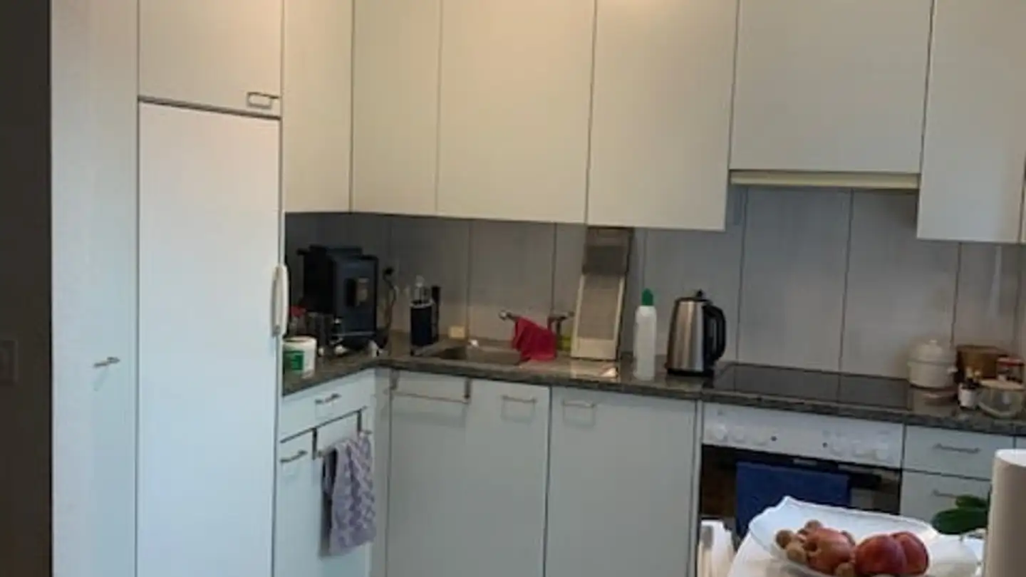 Appartement à louer - Untere Dorfstrasse 8, 8964 Rudolfstetten - Photo 4