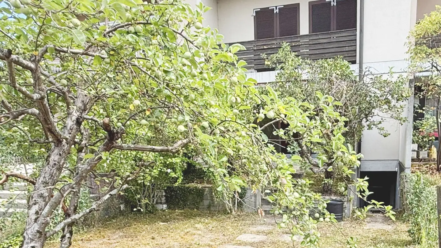 Einfamilienhaus kaufen - Birsweg 4, 4147 Aesch BL - Foto 2