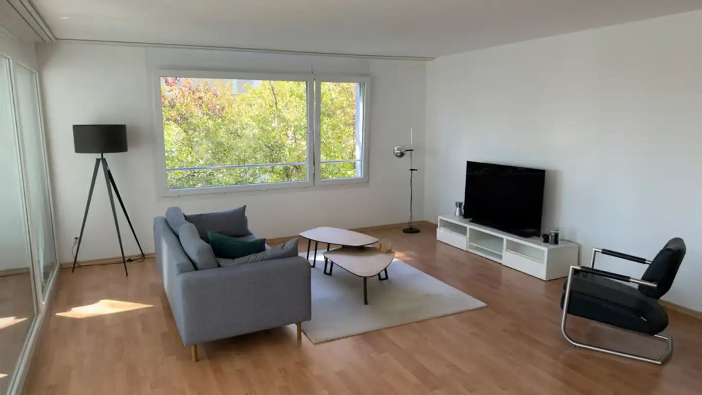Möblierte Wohnung mieten - 8052 Zürich