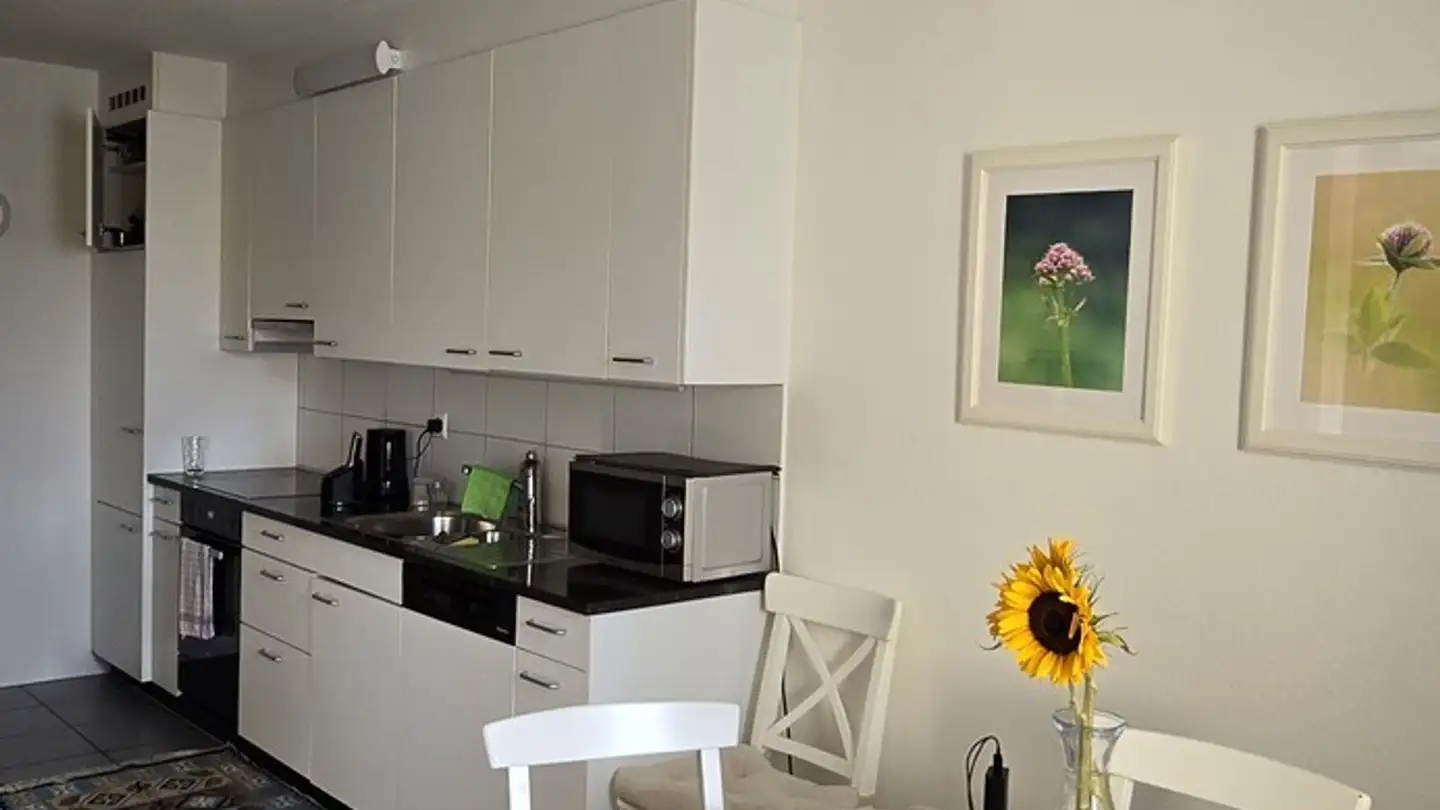 Chambre à louer - 8048 Zürich - Photo 2