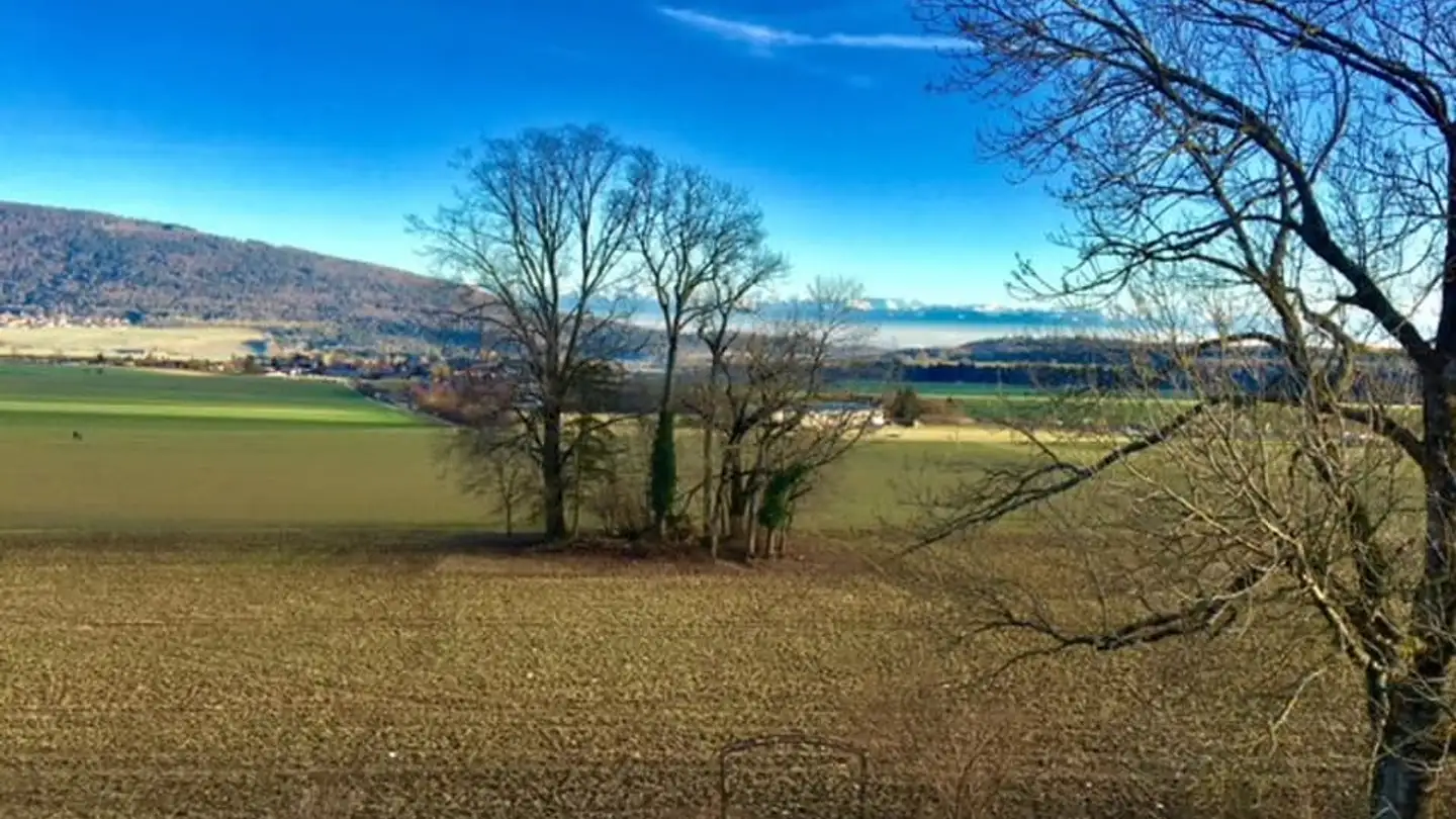 Appartamento in affitto - Tranchée De Malvilliers 26, 2043 Boudevilliers