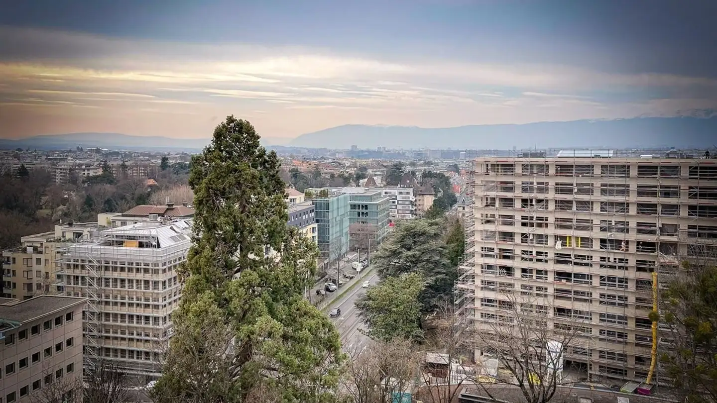 Duplex for rent - 1208 Genève - Photo 3