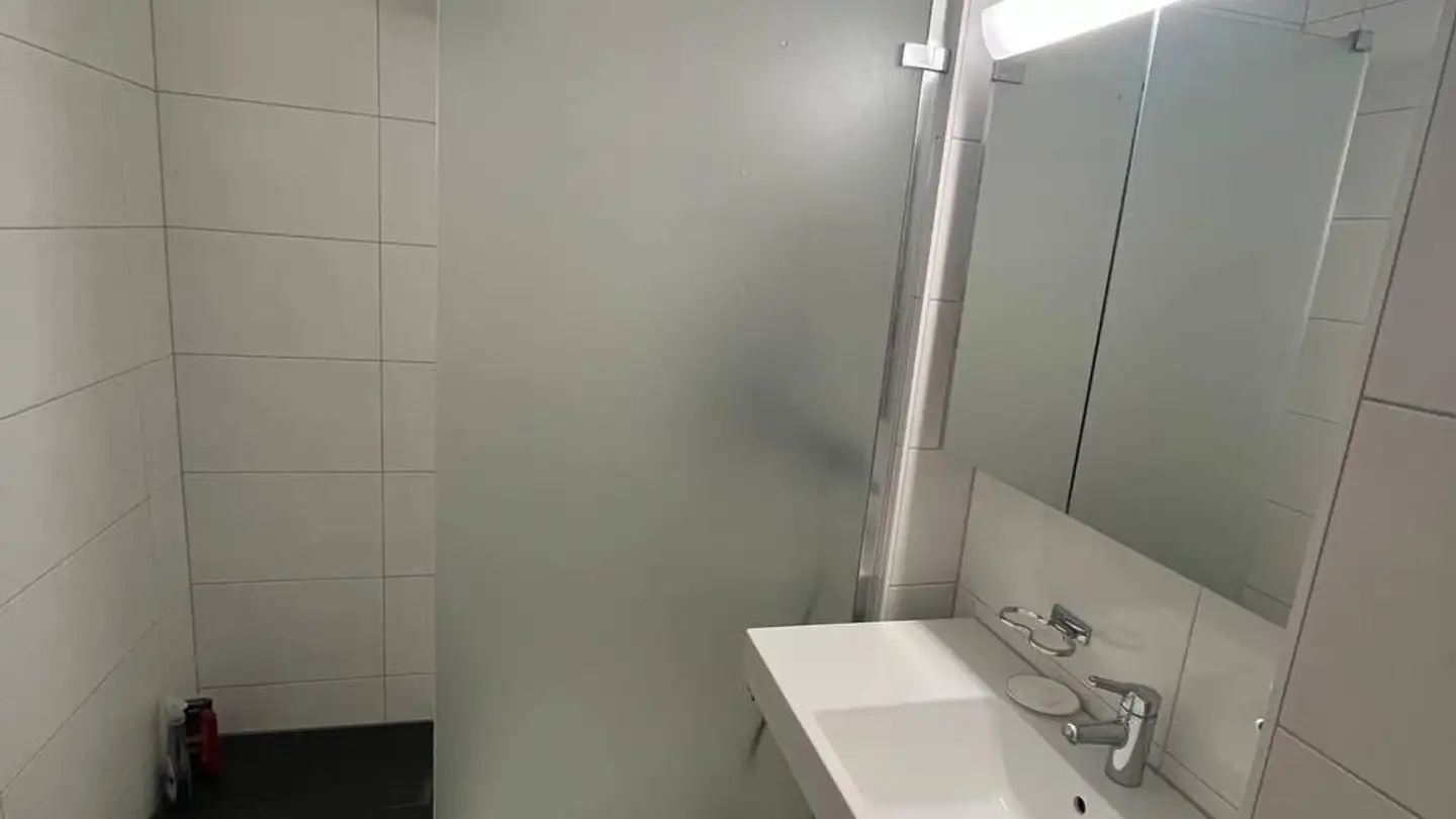 Chambre à louer - Albisriederplatz 1, 8003 Zürich - Photo 3