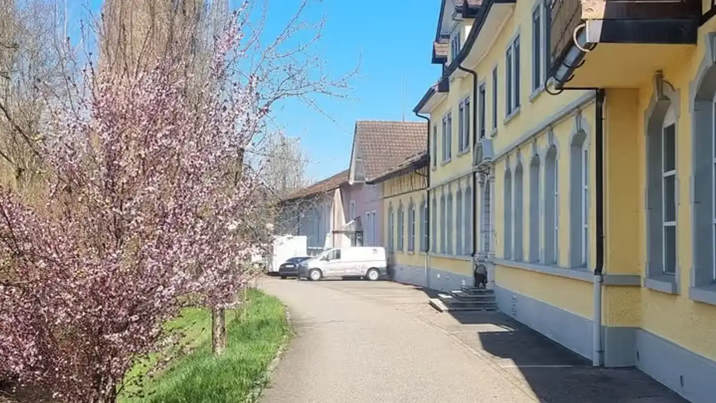Immeuble résidentiel à vendre - Fabrikstrasse 7, 9556 Affeltrangen